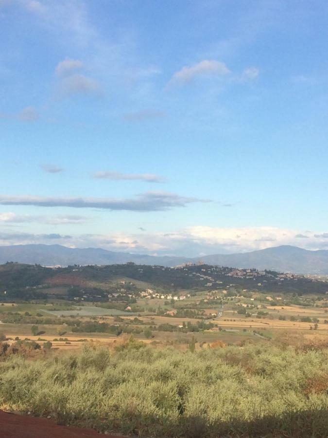 Mansarda Degli Ulivi Apartamento Rigomagno Exterior foto