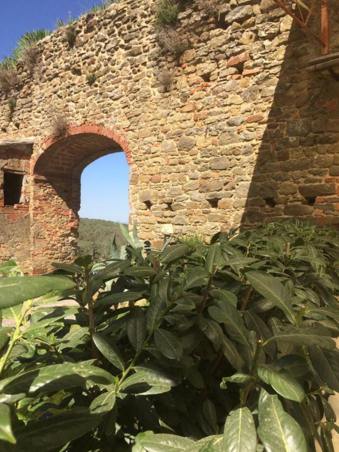 Mansarda Degli Ulivi Apartamento Rigomagno Exterior foto