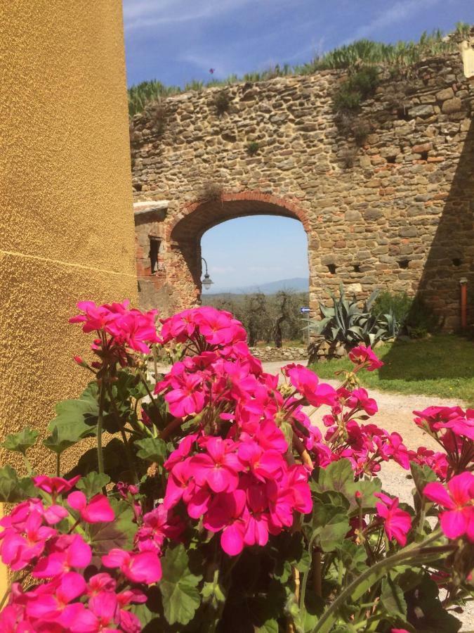 Mansarda Degli Ulivi Apartamento Rigomagno Exterior foto