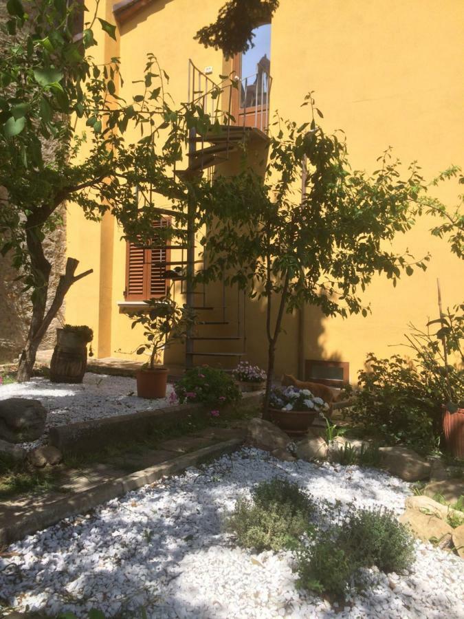 Mansarda Degli Ulivi Apartamento Rigomagno Exterior foto