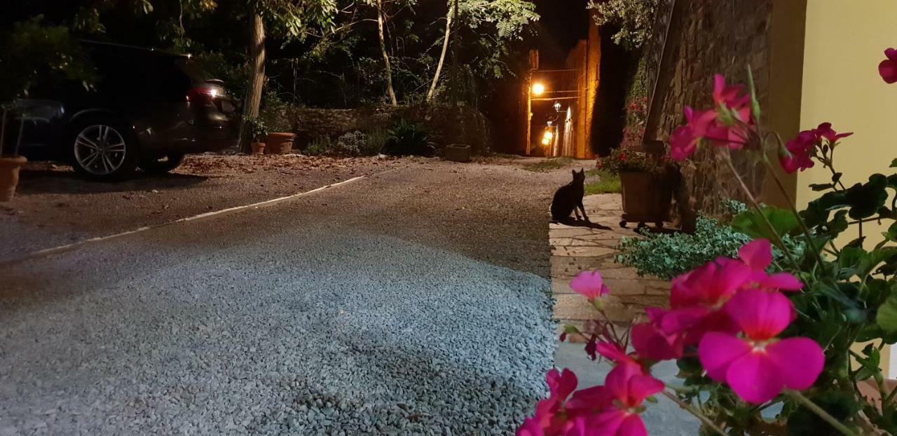 Mansarda Degli Ulivi Apartamento Rigomagno Exterior foto